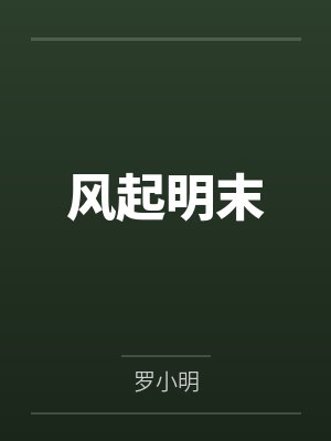 风起明末