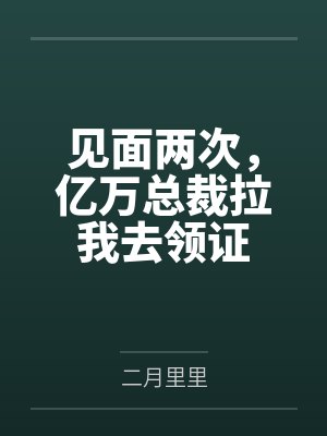 见面两次,亿万总裁拉我去领证