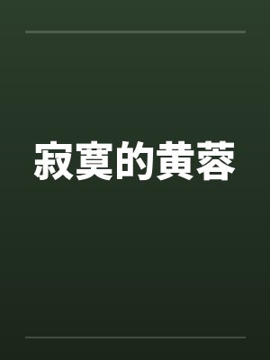 寂寞的黄蓉