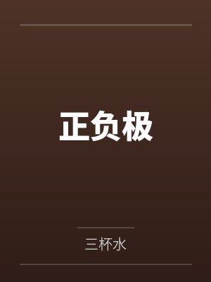 正负极