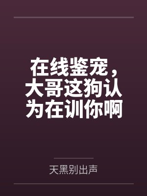 在线鉴宠,大哥这狗认为在训你啊