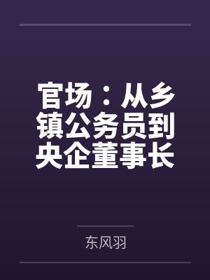 官场:从乡镇公务员到央企董事长