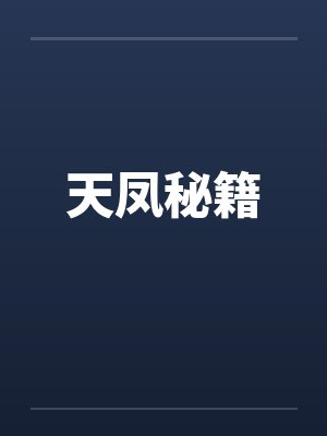 天凤秘籍