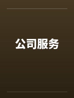 公司服务
