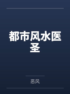 都市风水医圣